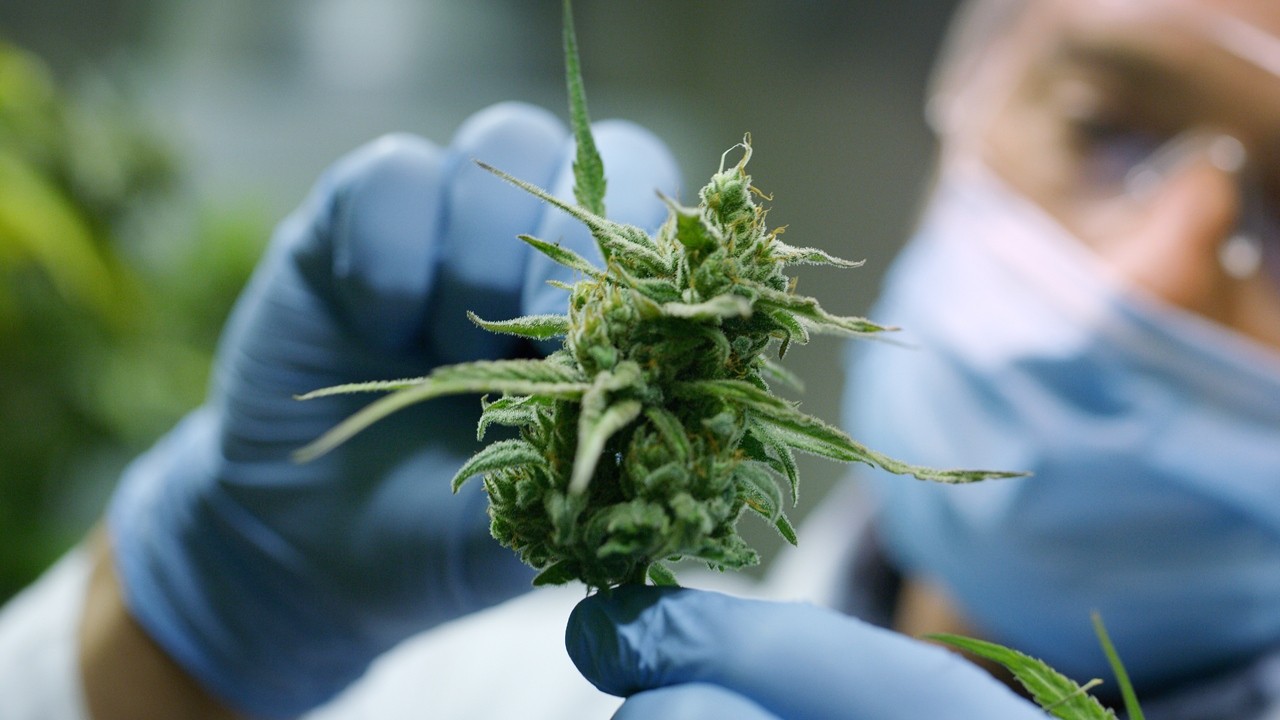 crypto fo weed industry - 3