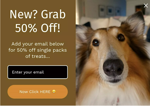 10 Proven Ways To Keep Visitors Viewing Your Website Longer 17 Web Development pop up